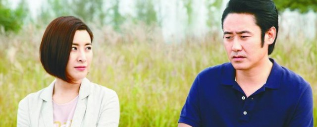 电视剧马向阳下乡记讲的是什么(马向阳下乡记属于什么剧)