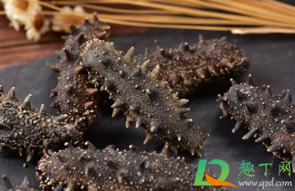 干海参放冰箱还是常温(干海参用放冰箱里吗)