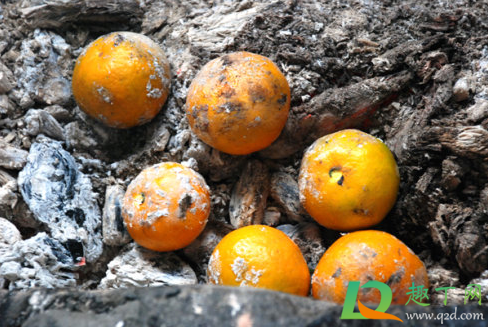 烤橘子是带皮还是不带皮烤(橘子皮可以用烤箱烤吗)