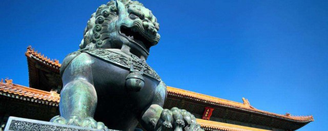 为什么放这种动物(放这么多动物)