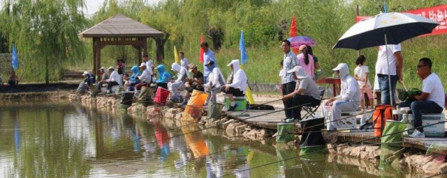 野钓调漂教程(野钓简单实用调漂方法)