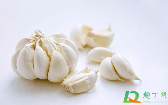 打新冠疫苗可以吃大蒜吗(打上新冠疫苗能吃大蒜吗)