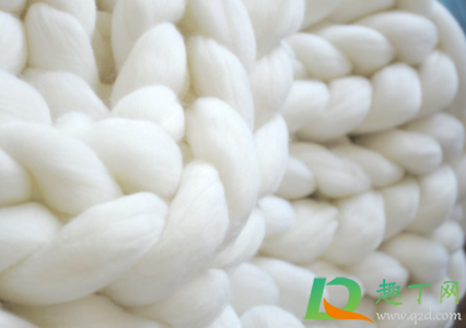 冰岛毛是真毛吗(冰岛羊羔毛是真毛吗)