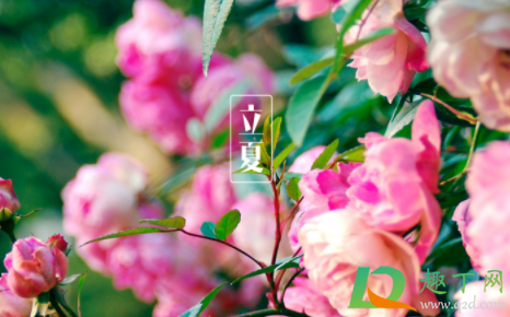 2021农历立夏是几月几日(立夏是几月几号2021年农历)