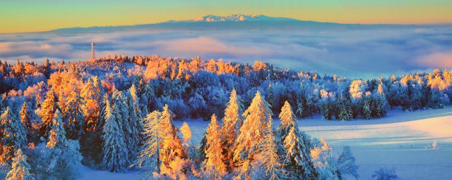 看后给你个最好的旅游体验(旅游者的体验)