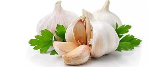 四大好处需知(健康的四大好处是什么)