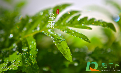 2021年谷雨那天结婚好吗(2021年谷雨是黄道吉日吗)