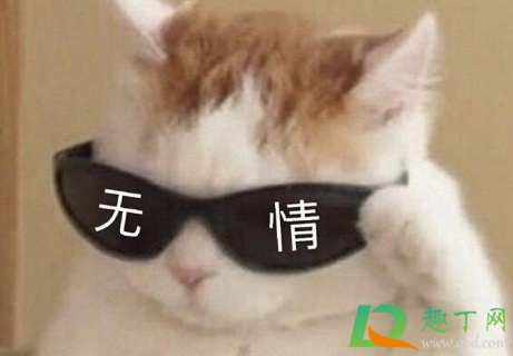 微信状态文案搞笑合集2021(搞笑的微信状态文案) 微信状态文案搞笑合集2021(搞笑的微信状态文案)