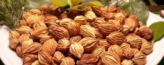 砂仁是药材吗(中药砂仁有什么药用价值)