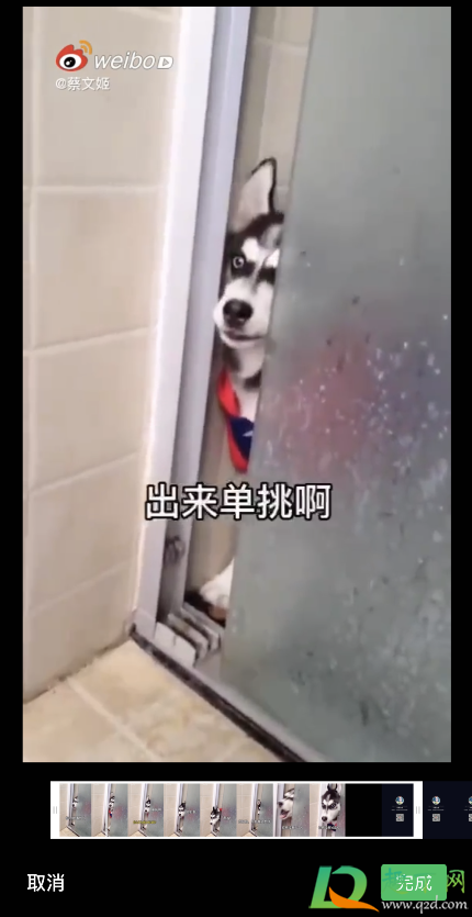 微信状态视频二哈怎么设置(微信状态视频二哈视频)