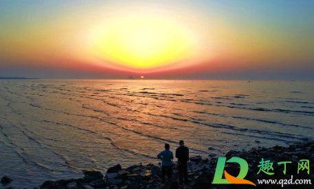 金山嘴渔村游玩攻略要门票吗(金山嘴渔村一日游要预约吗)