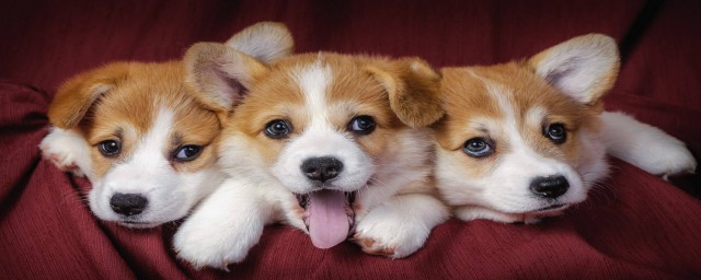 看下面的详细流程