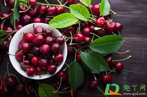 车厘子中毒吃什么解毒(车厘子和什么吃会中毒) 车厘子中毒吃什么解毒(车厘子和什么吃会中毒)