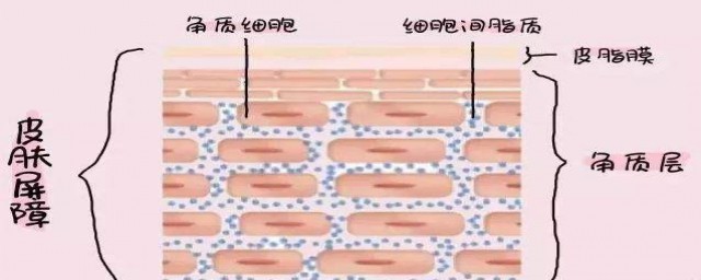 你真的选对了吗(你有的选吗)
