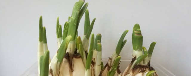 要丢掉吗(美瞳原装的水要丢掉吗)