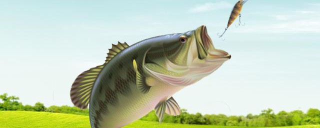 一年四季钓鱼方法(四季钓鱼技巧大全)