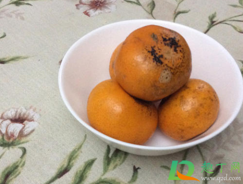 烤橘子要不要放盐(橘子放盐一起吃有害吗) 烤橘子要不要放盐(橘子放盐一起吃有害吗)