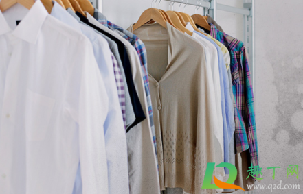 全自动洗衣机怎么放滴露(滴露直接放洗衣机)