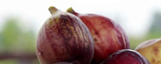 两大禁忌要知道(这些禁忌一定要记住)