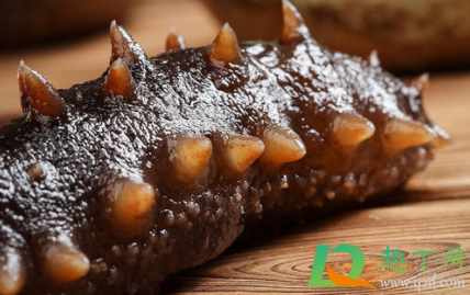 海参为什么不鲜着冰起来(海参不是很干)