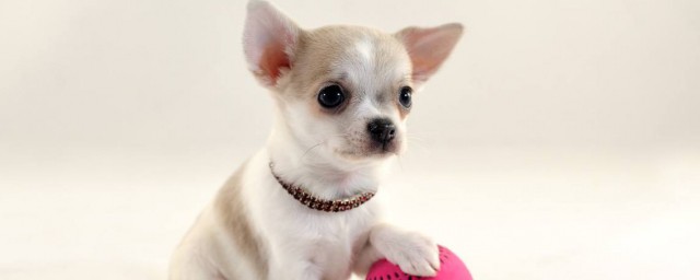 看看哪个适合你(最适合你的)