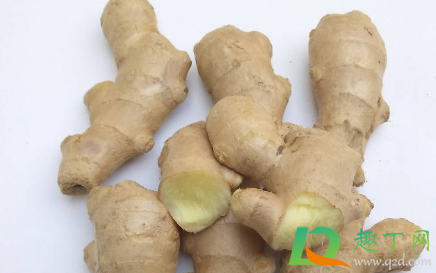 生姜敷膝盖会灼伤吗(生姜敷膝盖需要加热生姜吗)