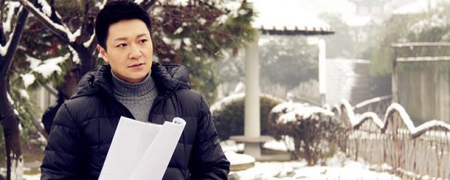 这部电视剧的剧情是什么？(电视剧情有)