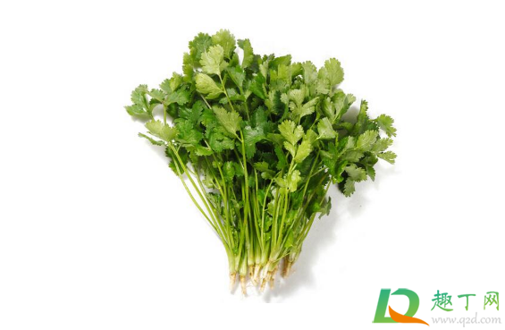 打新冠疫苗可以吃香菜吗(打新冠疫苗后能吃香菜么)