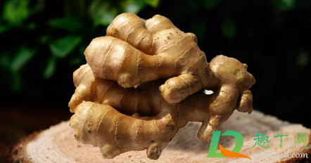 婴儿生姜敷脚心不超过几小时(婴儿姜敷脚心几个小时)