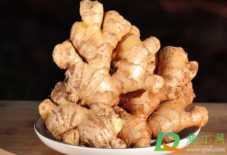 生姜敷膝盖热得受不了怎么办(生姜敷膝盖发热)