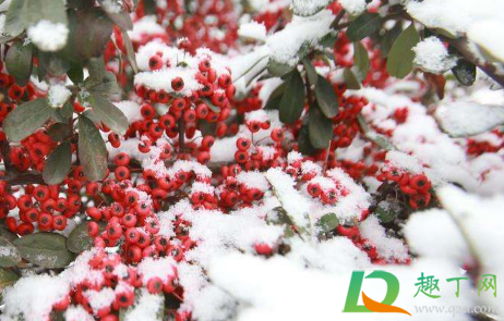 2021清明前后会不会出现倒春寒(2021会出现倒春寒吗)