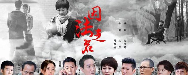 因法之名由谁主演(因法之名导演是谁)