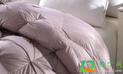 怎么去除羽绒被霉点霉斑(羽绒霉点怎么去掉) 怎么去除羽绒被霉点霉斑(羽绒霉点怎么去掉)