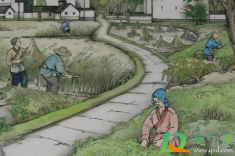 2021谷雨是哪一天几点(2021年谷雨是几时到几时) 2021谷雨是哪一天几点(2021年谷雨是几时到几时)