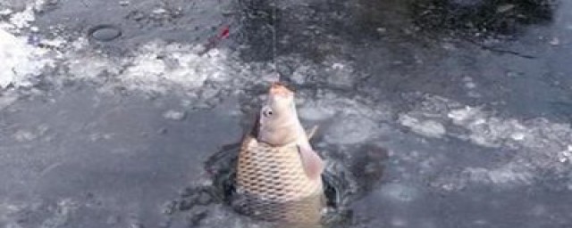 冬季刮什么风钓鱼好(冬季刮什么风不适合钓鱼)