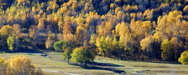 你有对此付出过贡献吗(你做出的贡献)