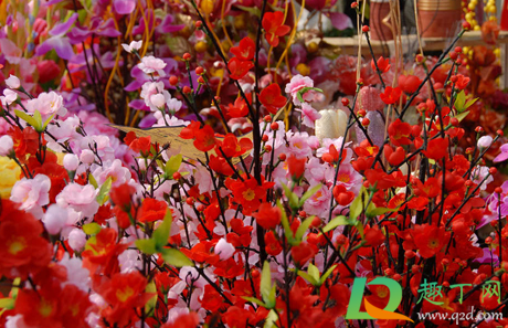 2021武汉就地过春节有补贴不(2021年春节期间回武汉政策)