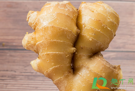 生姜敷膝盖热得受不了怎么办(生姜敷膝盖发热)