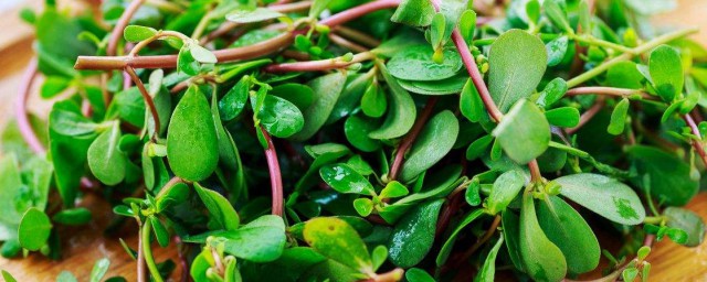 杀菌消炎降血压(降血压的药有消炎作用吗)