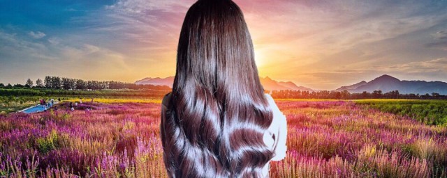 染发的注意事项(染发的注意事项重要吗列举案例说明)