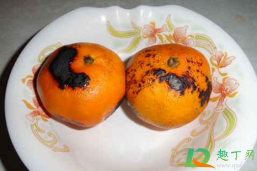 烤橘子吃皮还是吃肉(烤橘子的橘皮可以吃吗)