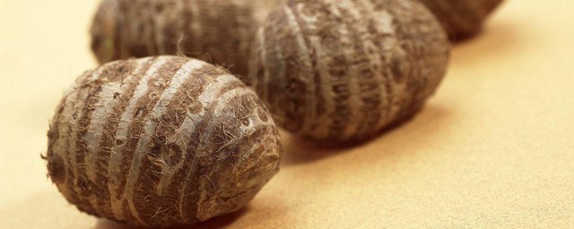 提高人体免疫力(提高人体免疫力最好的食物是什么)