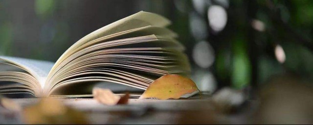 提高自己的修养分析(从哪些方面提高自己的修养)