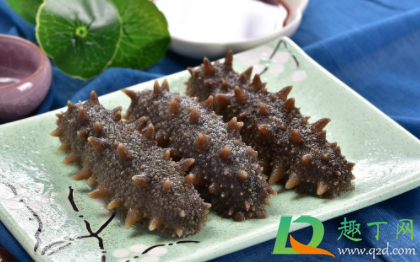 海参为什么不鲜着冰起来(海参不是很干)