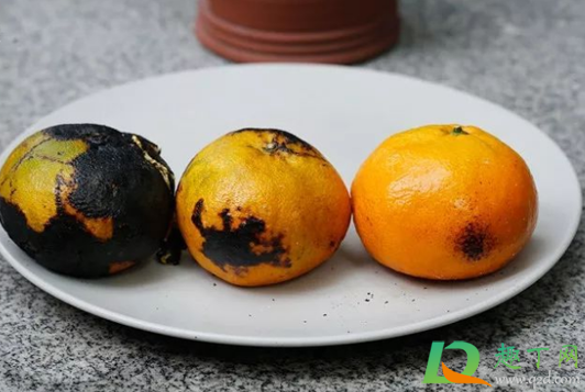 烤橘子是什么味道(烤橘子用的是什么橘子)