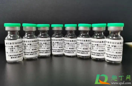 打了新冠疫苗手臂疼怎么回事(打了新冠疫苗手臂很疼怎么回事) 打了新冠疫苗手臂疼怎么回事(打了新冠疫苗手臂很疼怎么回事)