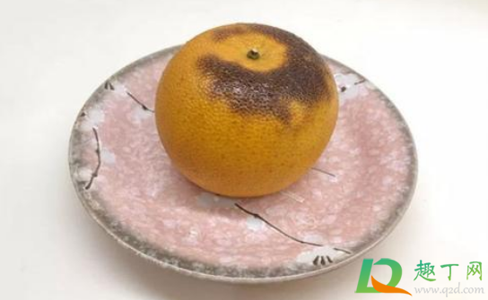 烤橘子饭前吃还是饭后吃(饭前吃橘子还是饭后吃橘子)