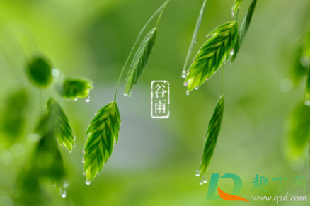 谷雨前后容易下雨吗(谷雨是要下雨吗)
