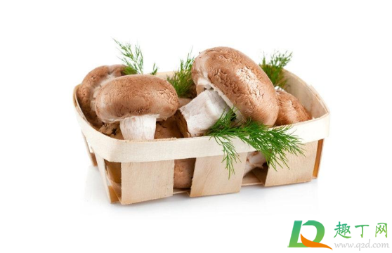 打新冠疫苗可以吃白萝卜吗(打新冠疫苗后能不能吃白萝卜) 打新冠疫苗可以吃白萝卜吗(打新冠疫苗后能不能吃白萝卜)