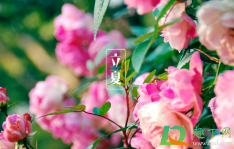 2021年立夏前一天可以结婚吗(2021年立冬前一天能不能结婚)